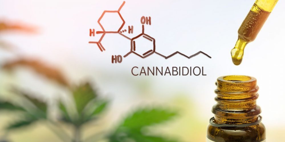 Everything You Need To Know About Cbd Oil